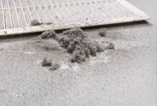 Best Air Duct Cleaning Company Near Me  in Phillipsburg, NJ