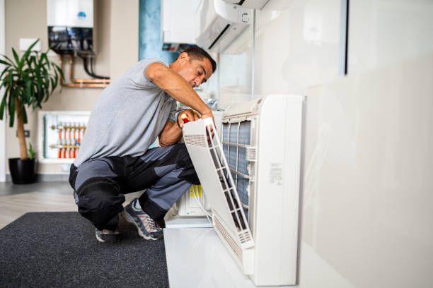 Best Air Duct Mold Removal  in Phillipsburg, NJ