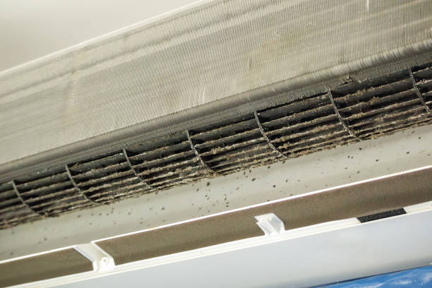 Best Best Air Duct Cleaning Company  in Phillipsburg, NJ